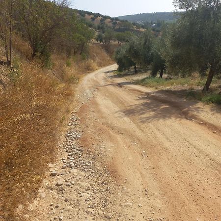 Alojamiento Rural El Yate Villa Montefrío Kültér fotó